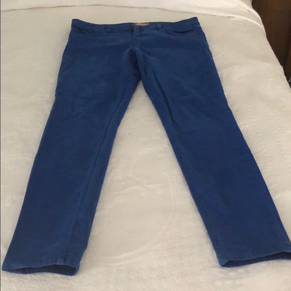 Sanctuary royal blue jeans